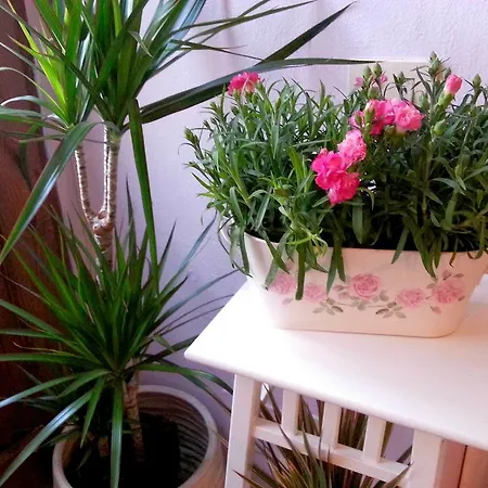 Holiday home Casa Del Colle